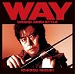 WAY~グランド・アニキ・スタイル~