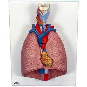 �x,������E7�����f���b�N�X���f��