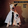 Working Class Dog (Aniv)