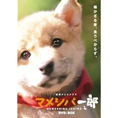 �A���e���r�h���} �}���V�o��Y DVD-BOX