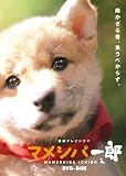 �A���e���r�h���} �}���V�o��Y DVD-BOX