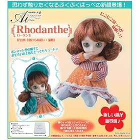 ���̊֐ߐl�` �� / Rhodanthe (���[�_���Z)Q-712