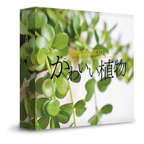 ���킢���A���̎ʐ^�f�ށi���킢���A���A���킢�̂���A���̎ʐ^�f�ނ�225���ȏ���^�j