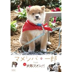 �w�}���V�o�E��Y�x from �u�c�b�}���V�o�v [DVD]