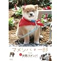 �w�}���V�o�E��Y�x from �u�c�b�}���V�o�v [DVD]