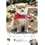 �w�}���V�o�E��Y�x from �u�c�b�}���V�o�v [DVD]