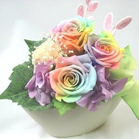 �y���̓��M�t�g�z���C���{�[���[�Y�̃v���U�[�u�h�A�����W�@[���C���{�[REVE]�����������I��
