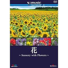 花~Scenery with Floews~ V-music03　