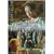 �|���p�h�[���v�l [DVD]