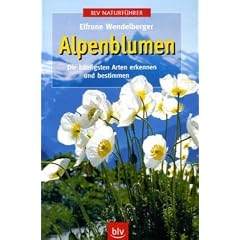 Alpenblumen. Die haeufigsten Arten erkennen und bestimmen