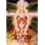�u�����p���[�h Vol.7 [DVD]
