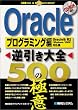 Oracle�t������S500�̋Ɉ� �v���O���~���O��