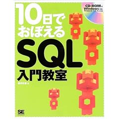 10���ł��ڂ���SQL���勳��