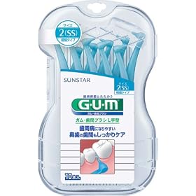 GUM���ԃu���VL���^10P SS