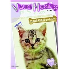 VisualHealing 9 3�b�q�̃A�����J���V���[�g�w�A  [�����^������] [DVD]