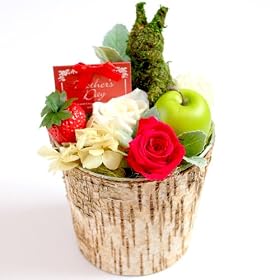 ��̓��M�t�g/Mother'S Day �v���U�[�u�h�t�����[�A�����W�i�E�T�M����j