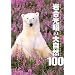 �⍇�����̑厩�R100