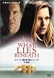 �z���b�g�E���C�Y�E�r�j�[�X ���ʕ� (������萶�Y) [DVD]