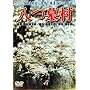 ���摺 [DVD]