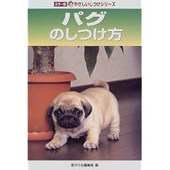 �p�O�̂����� (�J���[�ł₳���������V���[�Y)