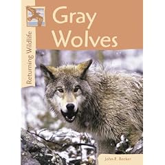 Gray Wolves (Returning Wildlife)
