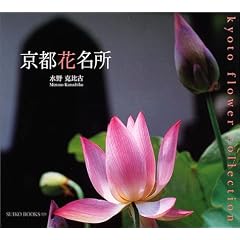 ���s�Ԗ��� (Suiko books (129))