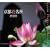 ���s�Ԗ��� (Suiko books (129))