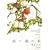 �̂ĔL�̉� (�~���I���R�~�b�N�X CRAFT SERIES 25)