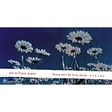 There Will be love there-���̂���ꏊ-/YOU&Ithe brilliant green�ɂ��