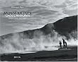 Anima Mundi: Caos E Armonia/Chaos and Harmony