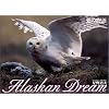 ���̕��� Alaskan Dream 3