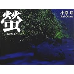 �u�\light of a firefly