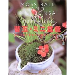 苔玉・ミニ盆栽―おしゃれでかわいい緑のインテリア