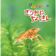 ���肪�ɂ�������� (�V�E���R���炫��)