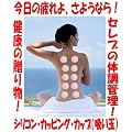 �V���R���J�b�s���O�J�b�v (�z����) 10���� (8��M�T�C�Y+2��S�T�C�Y) �s���N