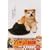 �n�`������ [DVD]