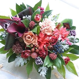 �t�����[�P�[�L�y �A�����W�����g�@�L�O���@�a�����@�t�����[�M�t�g�@�ԁ@�V�z�j���@�J�X�j���@���b�h�n wa �z