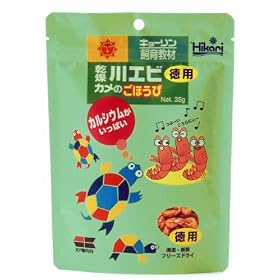 �Ђ��� ������G�r �J���̂��ق��� ���p 35g