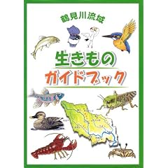 �ߌ��여�搶�����̃K�C�h