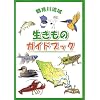 �ߌ��여�搶�����̃K�C�h