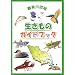 �ߌ��여�搶�����̃K�C�h