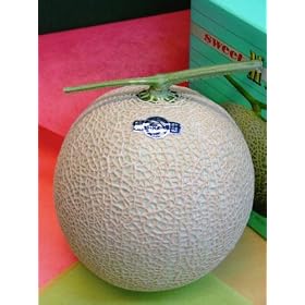 MELOX�É��}�X�N�������i�A�[���X�������j�@1�ʉ��ϔ�����yMELOX�F�R��F��1.4kg�O��z