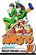 Naruto, Vol. 10 (Naruto (Graphic Novels))