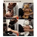 �������(�ʂ�����݃^�C�v)(fashy)�t�@�V�[�А��w�I���W�i���x�A�E�{�r�[�x�yNCD�z�J���[�F�u���b�N�i#9842080)�T�C�Y�F54�~37�~18cm