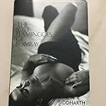 The lost flamingoes of bombay