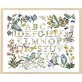 DMC �h���イ�L�b�g�wBirds ABC�xTB035