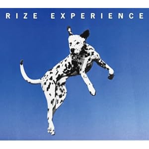 【クリックで詳細表示】EXPERIENCE(初回限定)(DVD付) [CD＋DVD， Limited Edition]