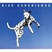 EXPERIENCE(�������)(DVD�t)