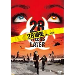 28�T��... (���ʕ�) [DVD]