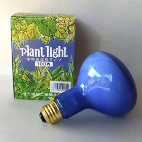 [�����d�@�H��]�A�T�q�v�����g���C�g100W�i�A���琬�p�����v�j
